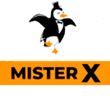 MisterX